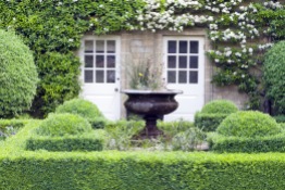 Flower vase in green topiary garden in front of a stone English country house, with two patio doors surrounded by white flowering climbing plant .